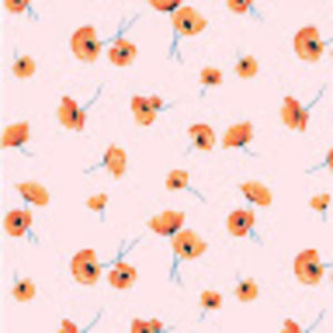 Meet your Posher, Alexia